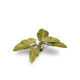 GamersGrass: Laser Plants - Elephant Ear (GGLP-EE)