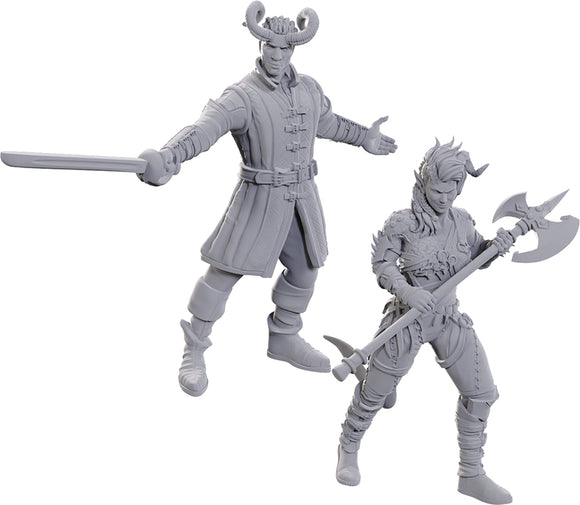 D&D Nolzur's Marvelous Miniatures: Special Ed. Baldur's Gate 3 - Wyll & Karlach (96367)