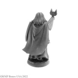 Reaper Bones USA: Thess Ironfaith (07066)