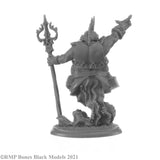 Reaper Bones Black: Elemental Scions Boxed Set (44147)