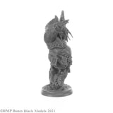Reaper Bones Black: Elemental Scions Boxed Set (44147)