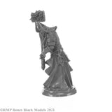 Reaper Bones Black: Elemental Scions Boxed Set (44147)