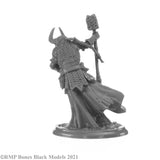 Reaper Bones Black: Elemental Scions Boxed Set (44147)