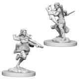 D&D Nolzur's Marvelous Miniatures: Air Genasi Rogue (Female) (73204)