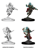 D&D Nolzur's Marvelous Miniatures: Air Genasi Rogue (Female) (73204)