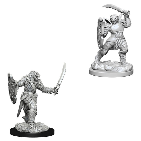 D&D Nolzur's Marvelous Miniatures: Dragonborn Female Paladin (73341)