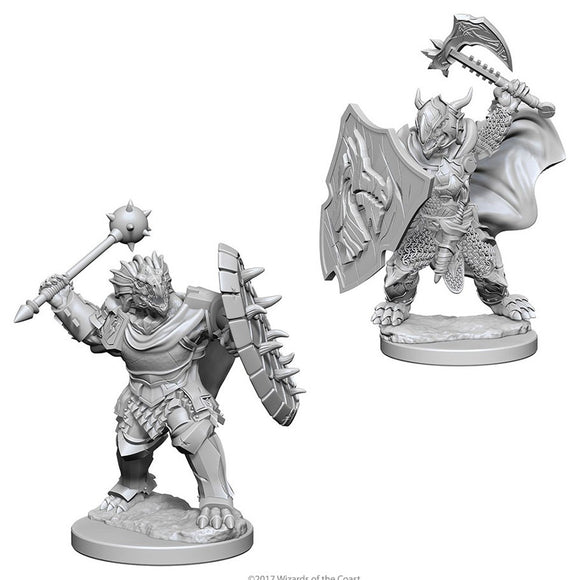 D&D Nolzur's Marvelous Miniatures: Dragonborn Paladin (Male) (73200)