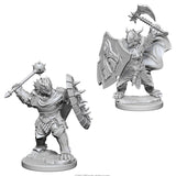 D&D Nolzur's Marvelous Miniatures: Dragonborn Paladin (Male) (73200)