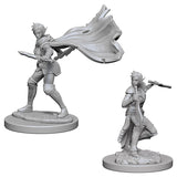 Pathfinder Deep Cuts: Elf Female Rogue (73187)