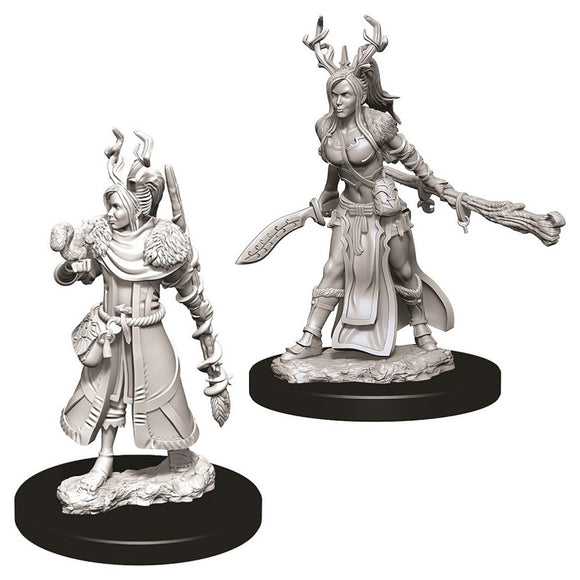 D&D Nolzur's Marvelous Miniatures: Female Human Druid (73701)