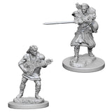 D&D Nolzur's Marvelous Miniatures: Human Bard (Male) (72632)