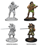 D&D Nolzur's Marvelous Miniatures: Human Bard (Male) (72632)