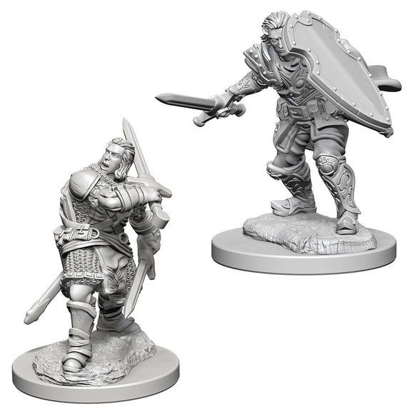 D&D Nolzur's Marvelous Miniatures: Human Paladin (Male) (72629)