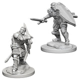 D&D Nolzur's Marvelous Miniatures: Human Paladin (Male) (72629)