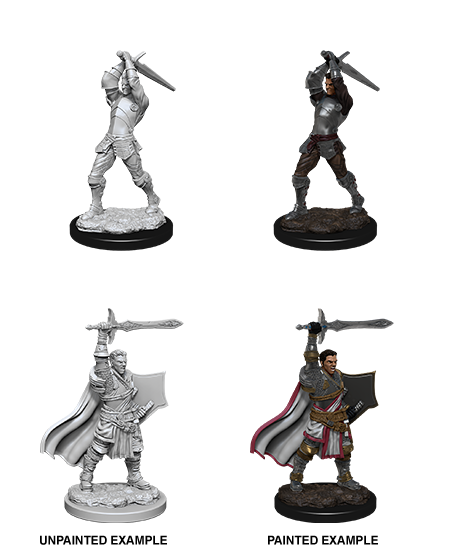 D&D Nolzur's Marvelous Miniatures: Male Human Paladin (90060)