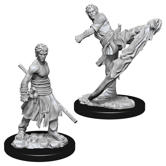 D&D Nolzur's Marvelous Miniatures: Male Half-Elf Monk (73838)