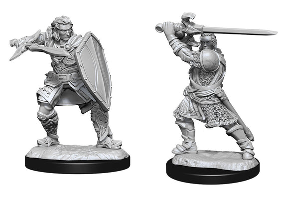 D&D Nolzur's Marvelous Miniatures: Human Paladin Male (90220)